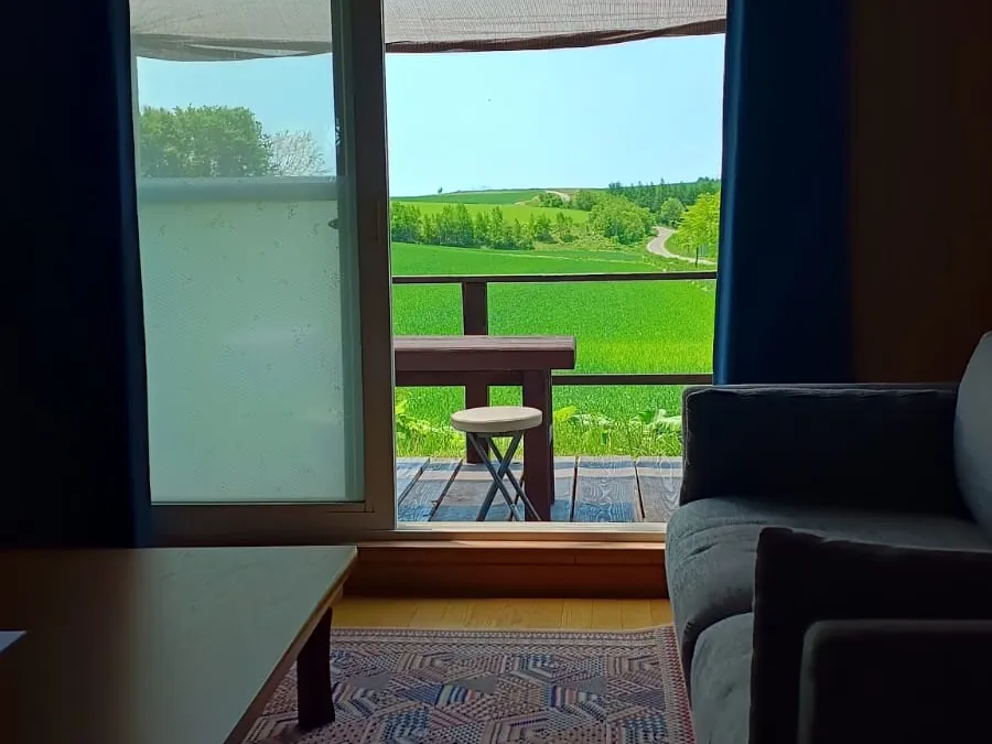 Living room sofa with view out to the deck