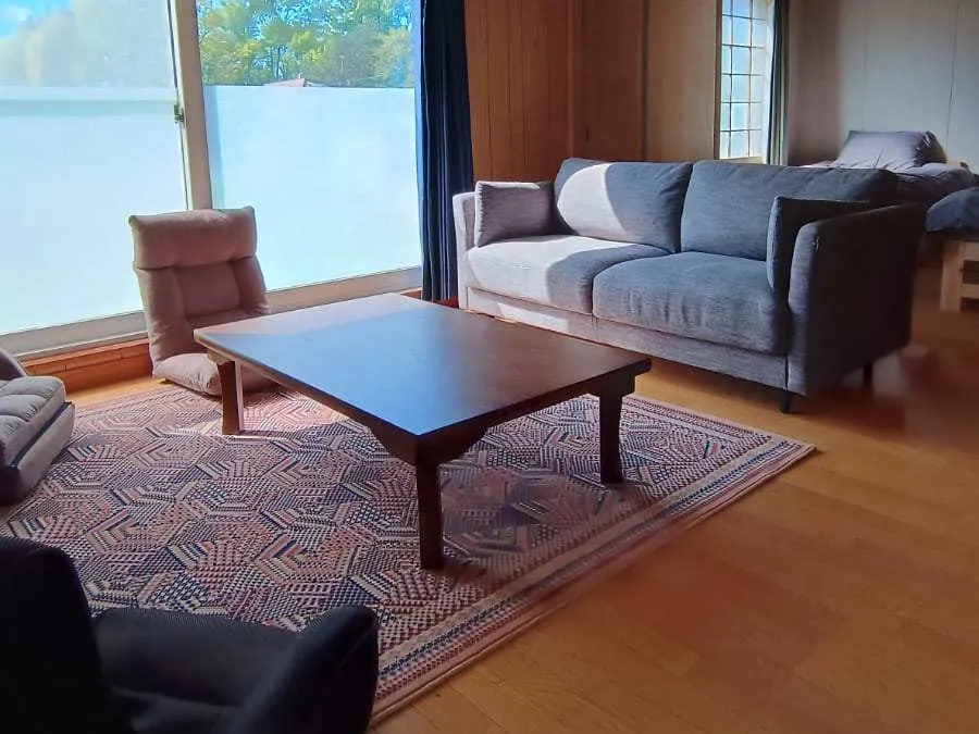 Living room sofas with soft natural light
