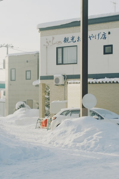 Japanese interior with wooden elements